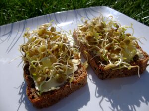 healthy food for kids
