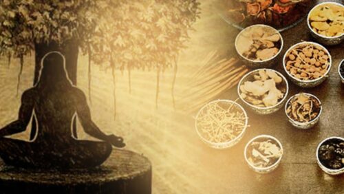 Ayurveda well and organic food