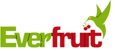 production and quality officer