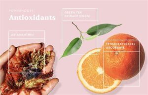 Food Additves